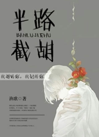 半路截胡林宴小说