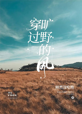 穿过旷野的风小说