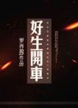好生开车小说