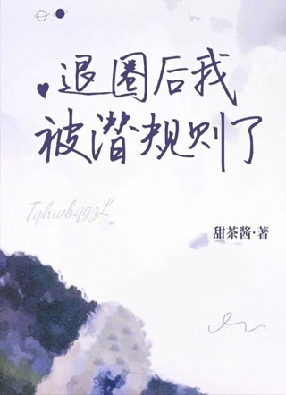 退圈后我被潜规则了小说