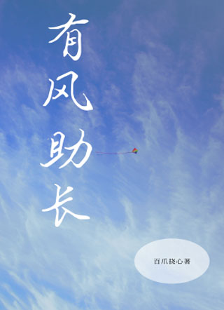 有风助长小说