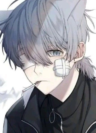 下山后殿下爆红娱乐圈小说