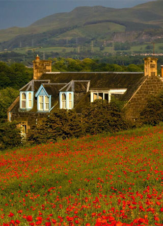 万人嫌的Omega崛起吧小说