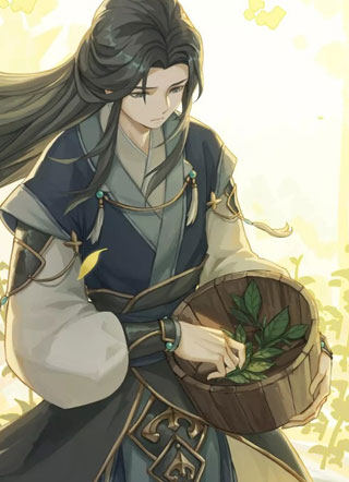 少主他只想复仇小说