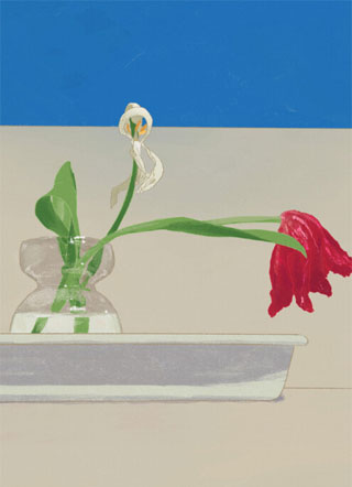 撩精小人鱼小说