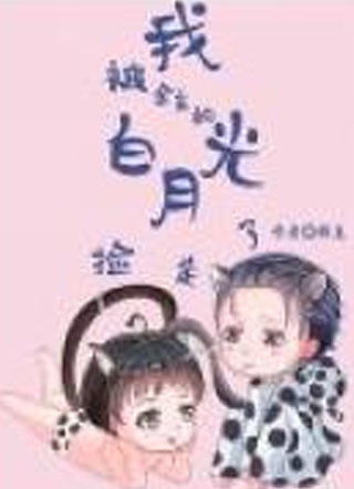 我被金主的白月光捡走了小说