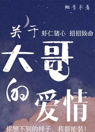 关于大哥的爱情小说