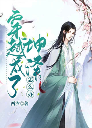 穿越成了坤泽怎么办？小说