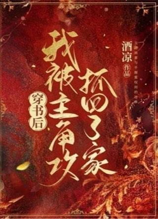 穿书后我被主角攻抓回了家周翎小说