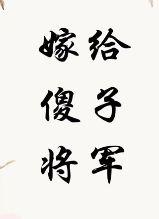 嫁给傻子将军小说