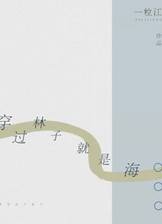 穿过林子就是海小说