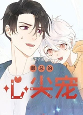 顾总的心尖宠小说