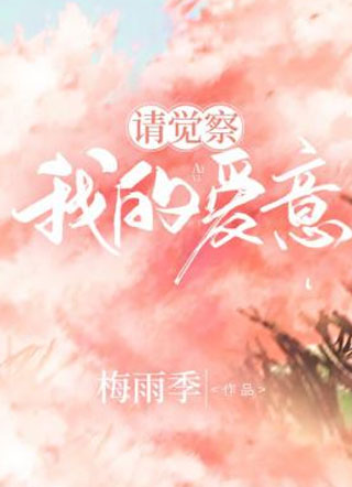 请察觉我的爱意小说