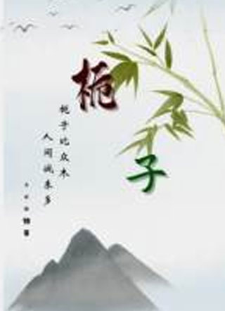 栀子小说
