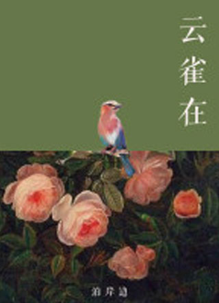云雀在小说