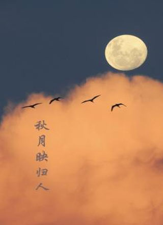 秋月映归人小说