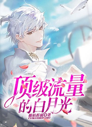 顶级流量的白月光小说