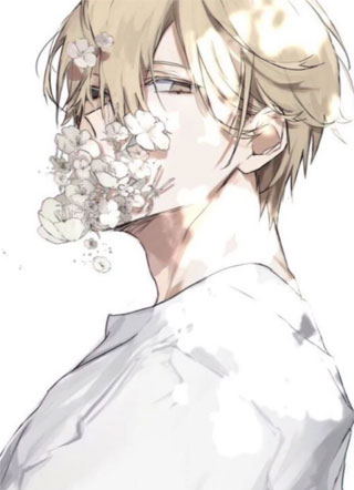 给加西里的赐福小说