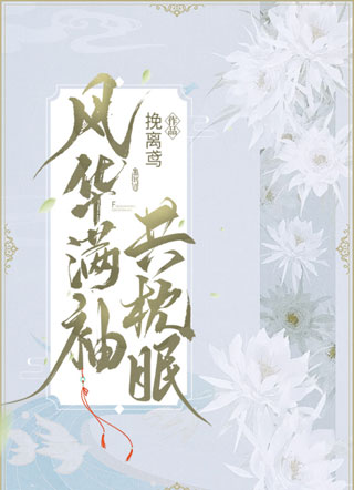 风华满袖共枕眠小说