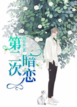 第二次暗恋小说