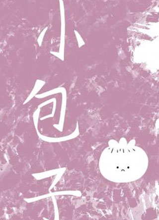 小包子小说