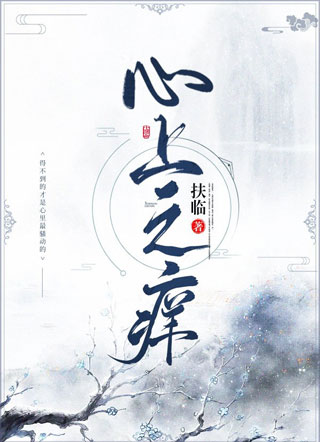 心上之痒小说