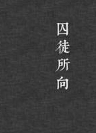 囚徒所向小说