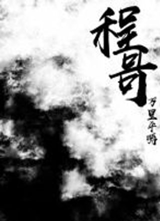 程哥小说