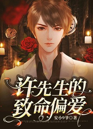 许先生的致命偏爱小说