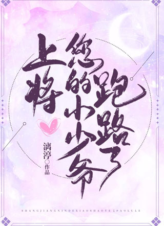 上将，您的小少爷跑路了小说
