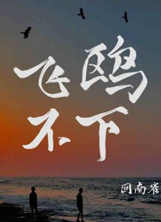 飞鸥不下陆枫小说