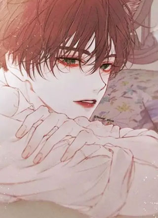 死在最爱他的那十年小说