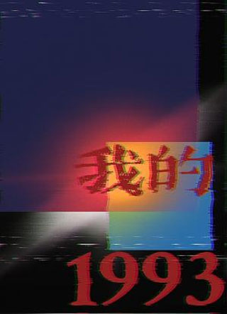 我的1993小说