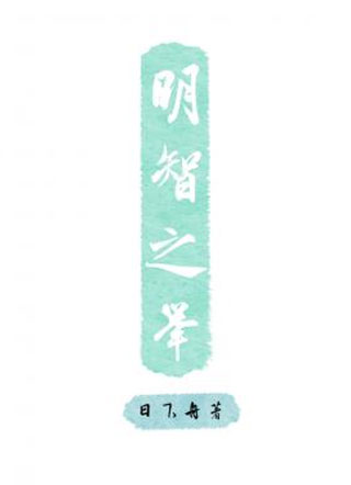 明智之举小说