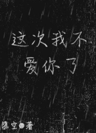 这次我不爱你了小说