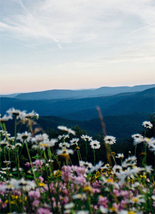 别死我门口小说