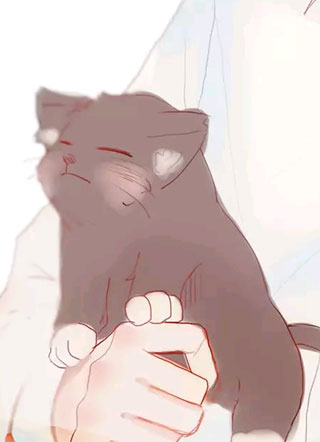 和哥哥怪绑定cp关系后小说