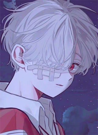 我的律师男友小说