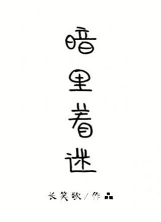 暗里着迷贝嘉许小说