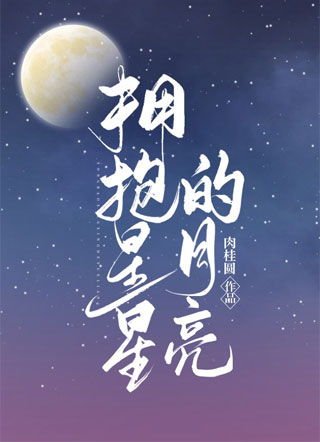 拥抱星星的月亮小说