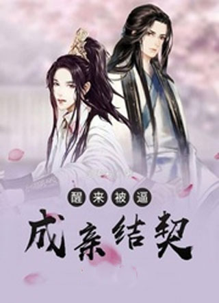 醒来被逼成亲结契小说