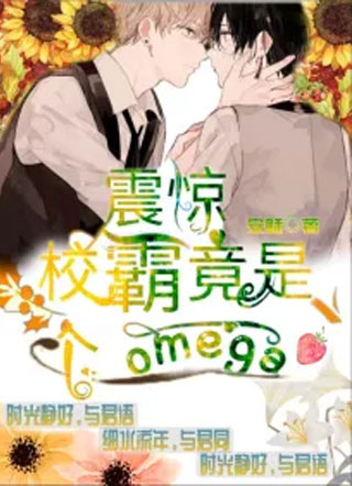 穿书反派先生是个体面人小说