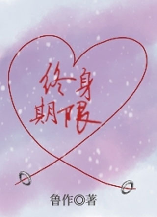 终身期限小说