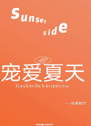 宠爱夏天小说