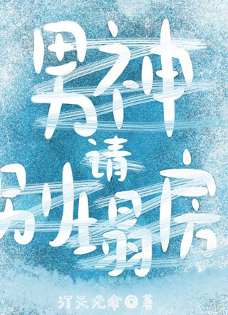 男神请别塌房小说