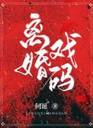 离婚戏码小说