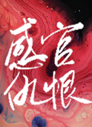 感官仇恨小说