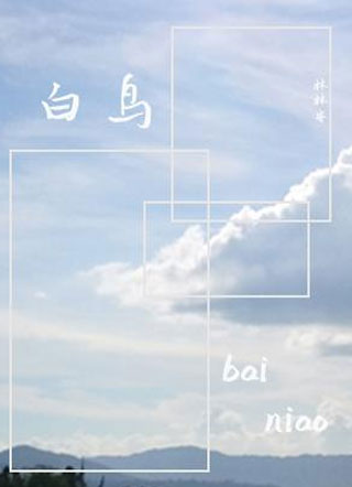 白鸟叶沉小说