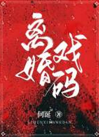 离婚戏码小说