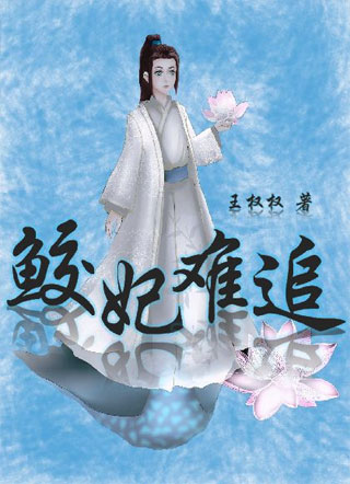 鲛妃难追小说